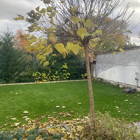 Modern Living In 3 Apartmán *